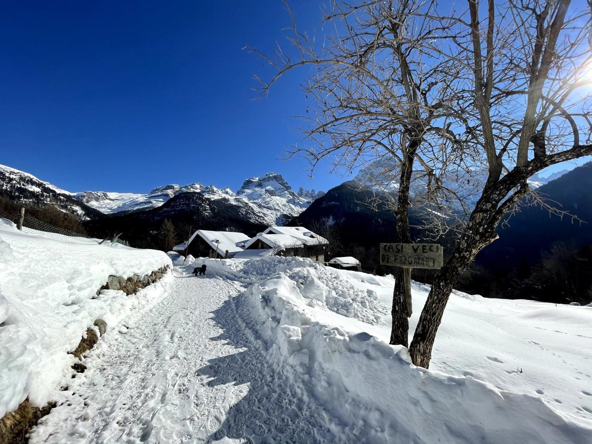 Villa Alpina Campiglio Madonna Zewnętrze zdjęcie