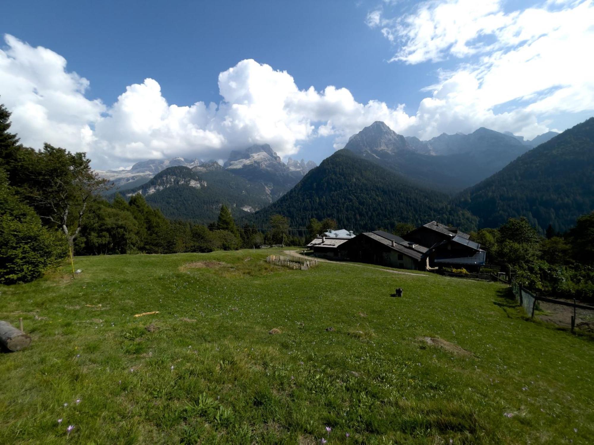 Villa Alpina Campiglio Madonna Zewnętrze zdjęcie