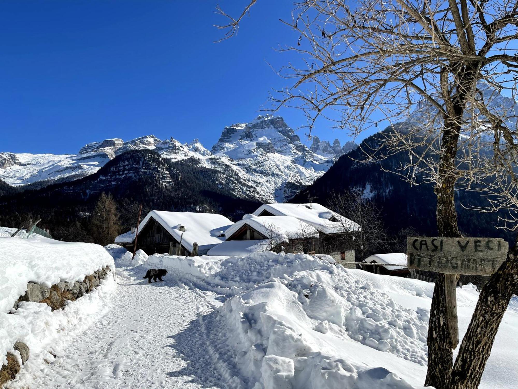 Villa Alpina Campiglio Madonna Zewnętrze zdjęcie
