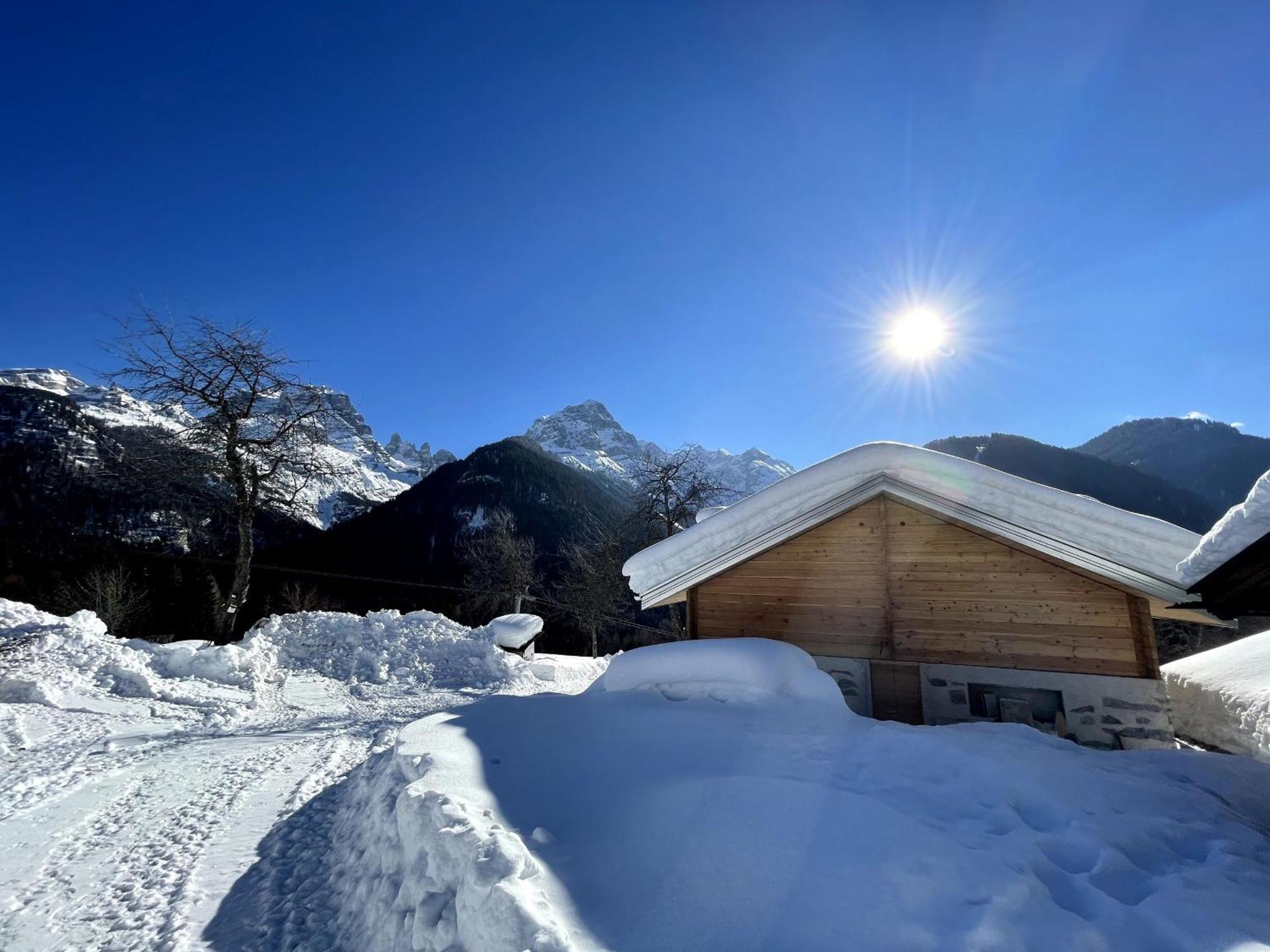 Villa Alpina Campiglio Madonna Zewnętrze zdjęcie