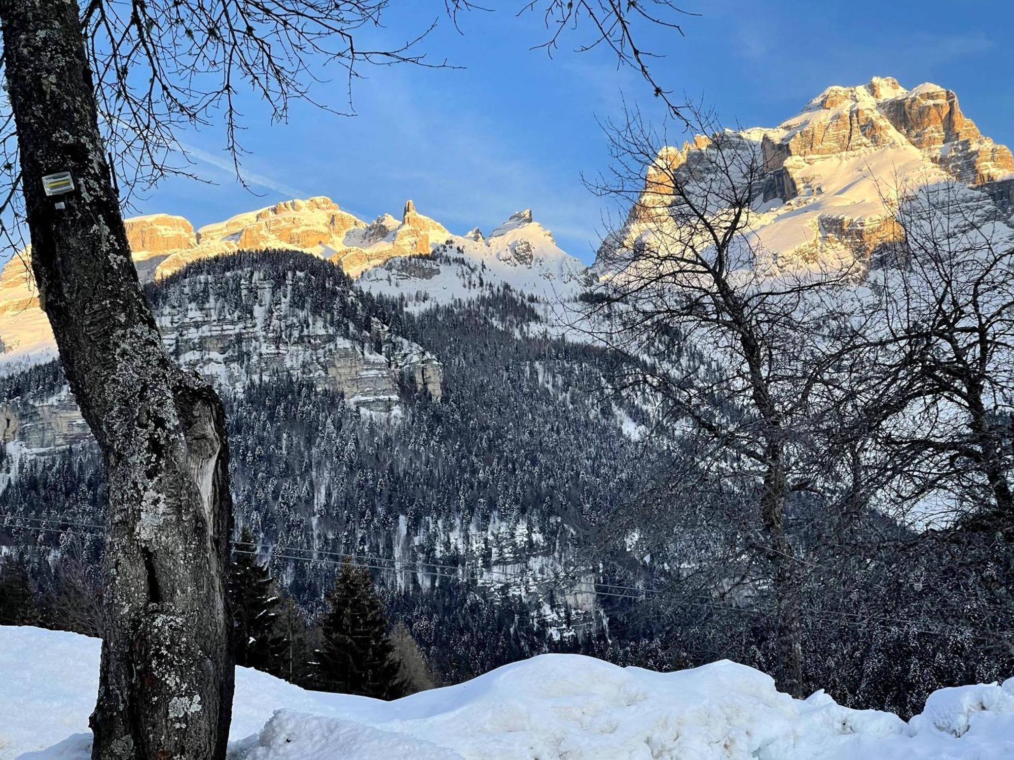Villa Alpina Campiglio Madonna Zewnętrze zdjęcie
