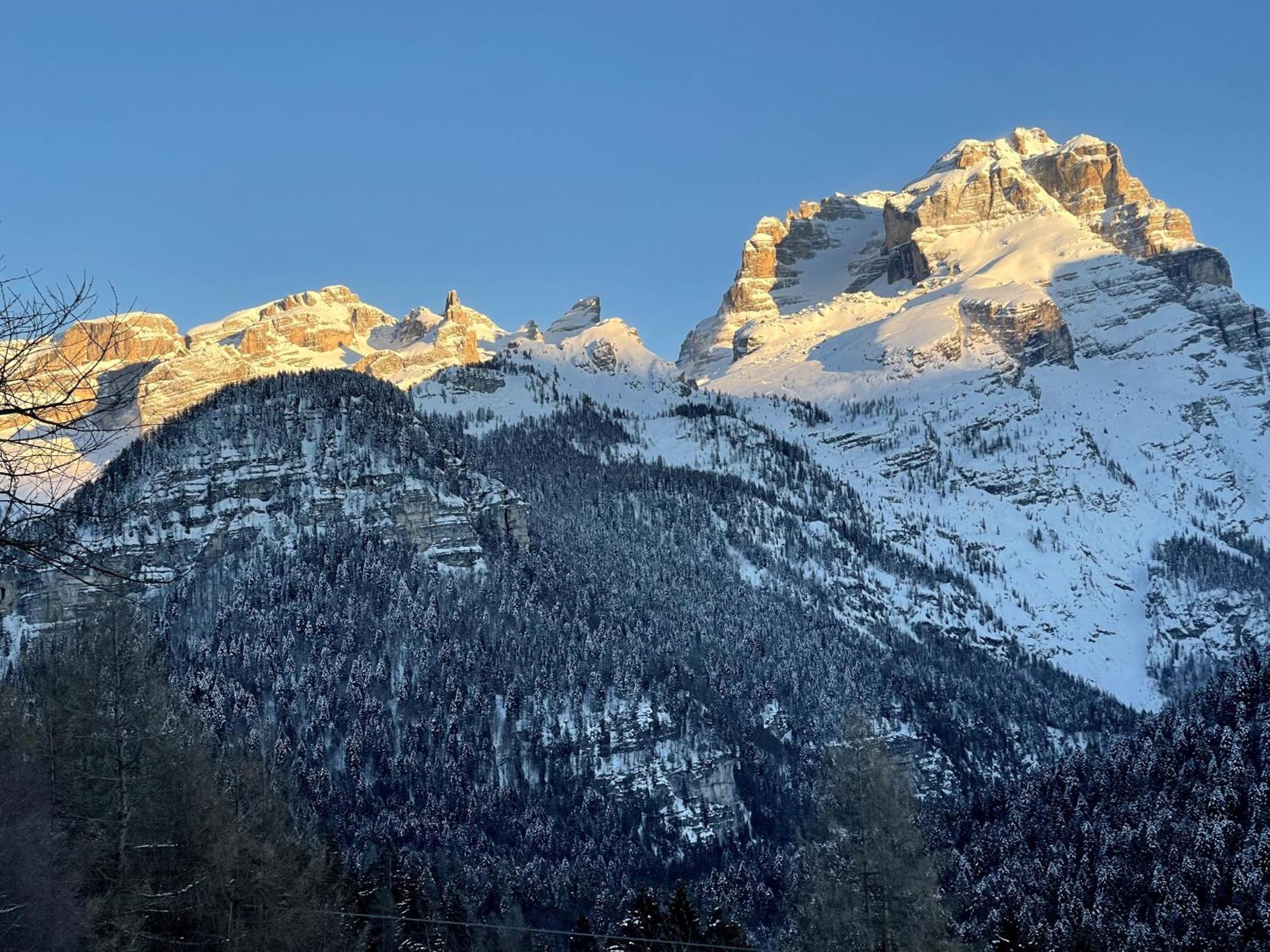 Villa Alpina Campiglio Madonna Zewnętrze zdjęcie