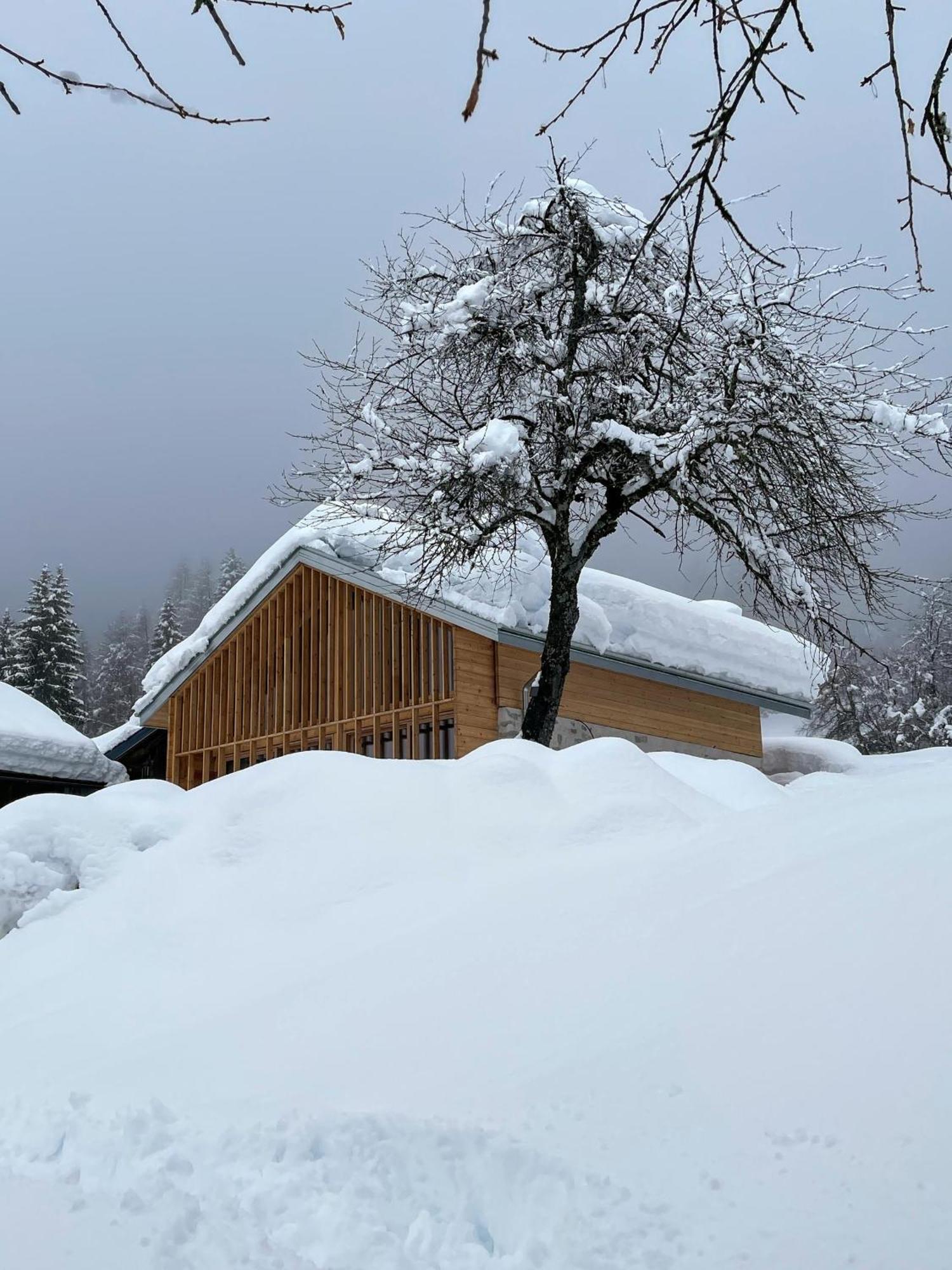 Villa Alpina Campiglio Madonna Zewnętrze zdjęcie