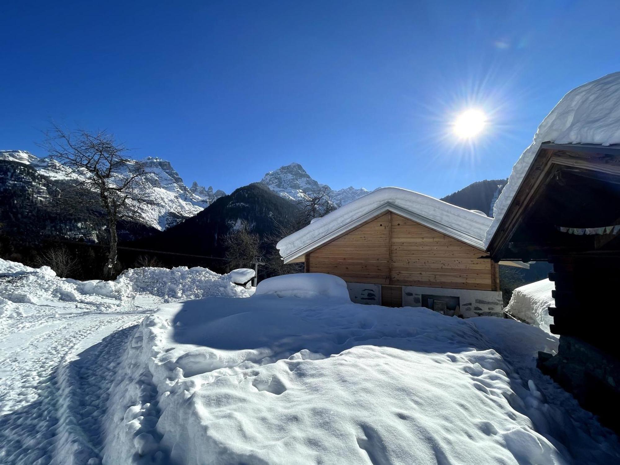 Villa Alpina Campiglio Madonna Zewnętrze zdjęcie